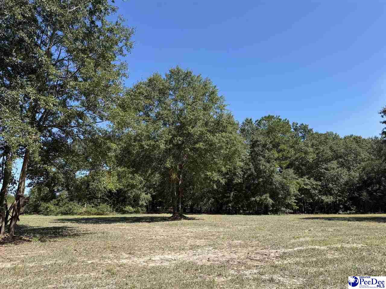 Lot 6 Isaiah Drive - Photo 1