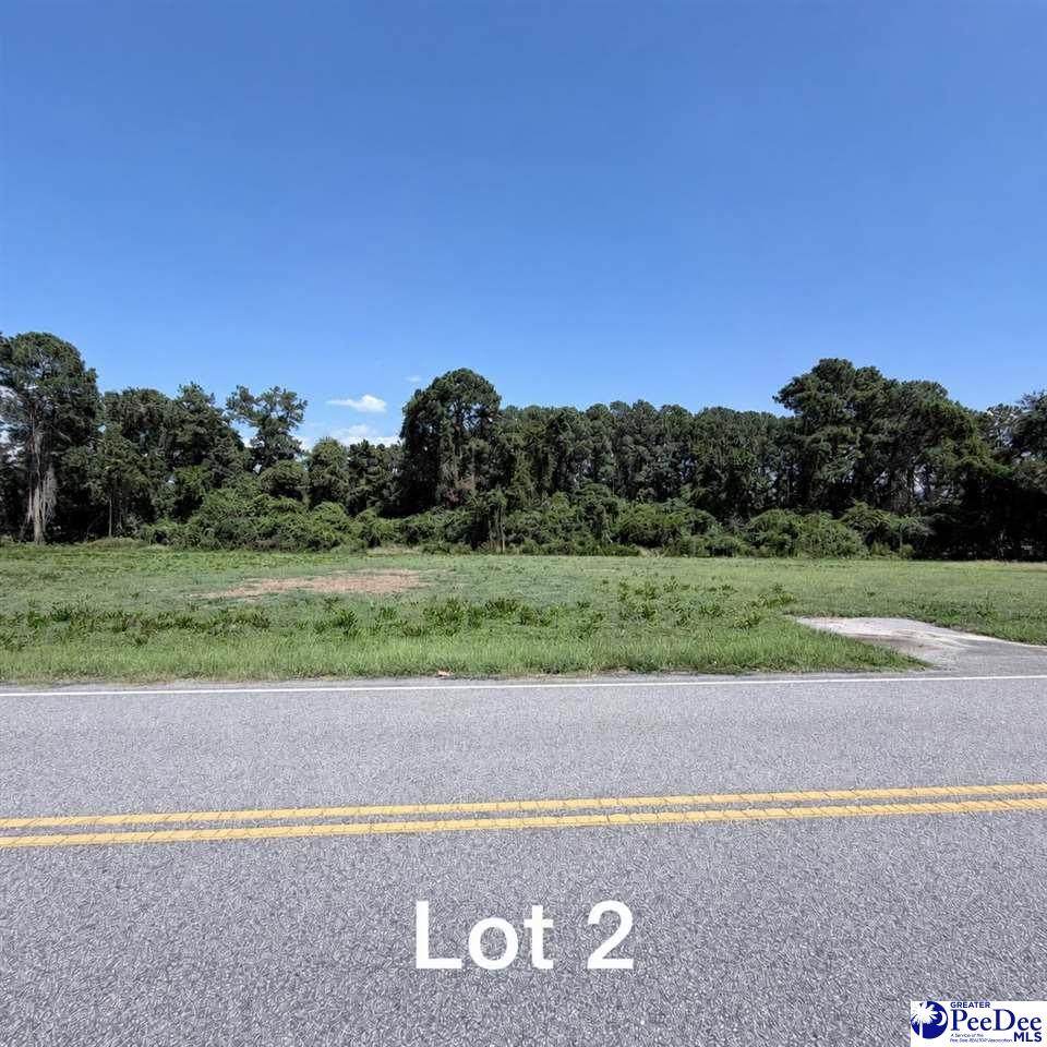 603 Sam Harrell Road - Photo 1