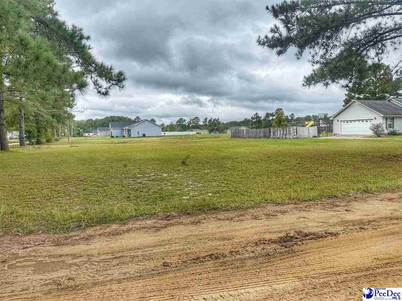 Lot 42 Ashtin Court - Photo 1
