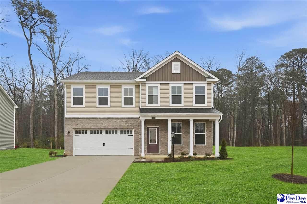 3810 Poodle Path Drive (Lot 129) - Photo 1