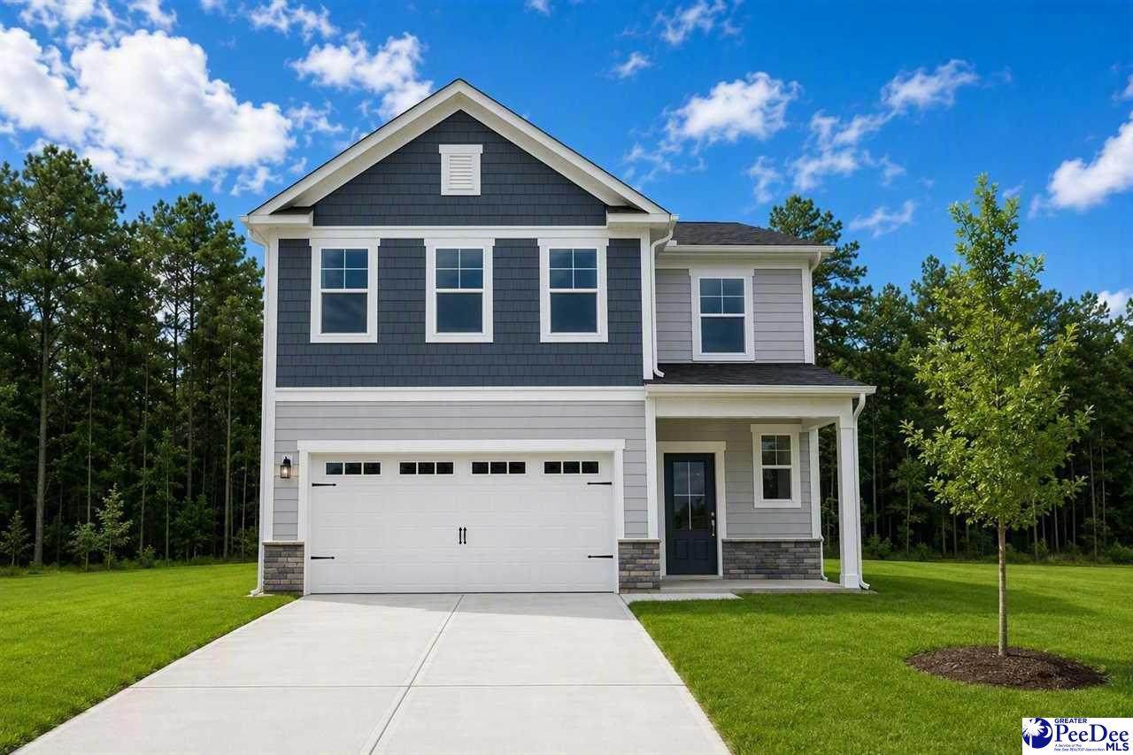 3834 Poodle Path Drive (Lot 135) - Photo 1