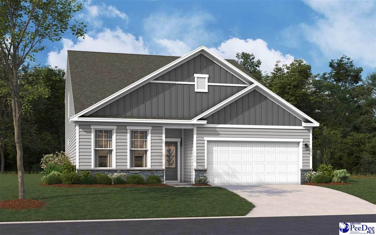 3813 Poodle Path Drive (Lot 128) - Photo 1