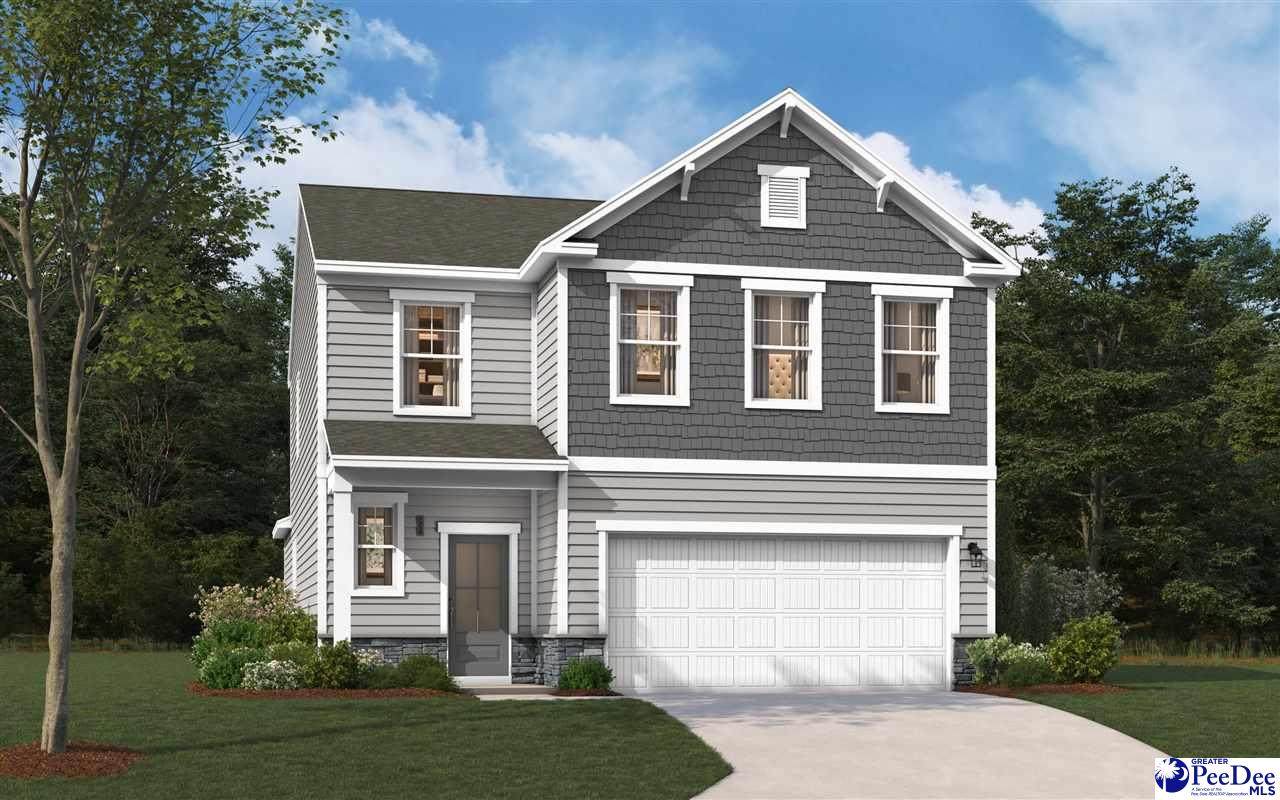 3818 Poodle Path Drive (Lot 131) - Photo 1