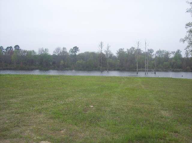 2250 Mclaurin Lake Circle - Photo 1