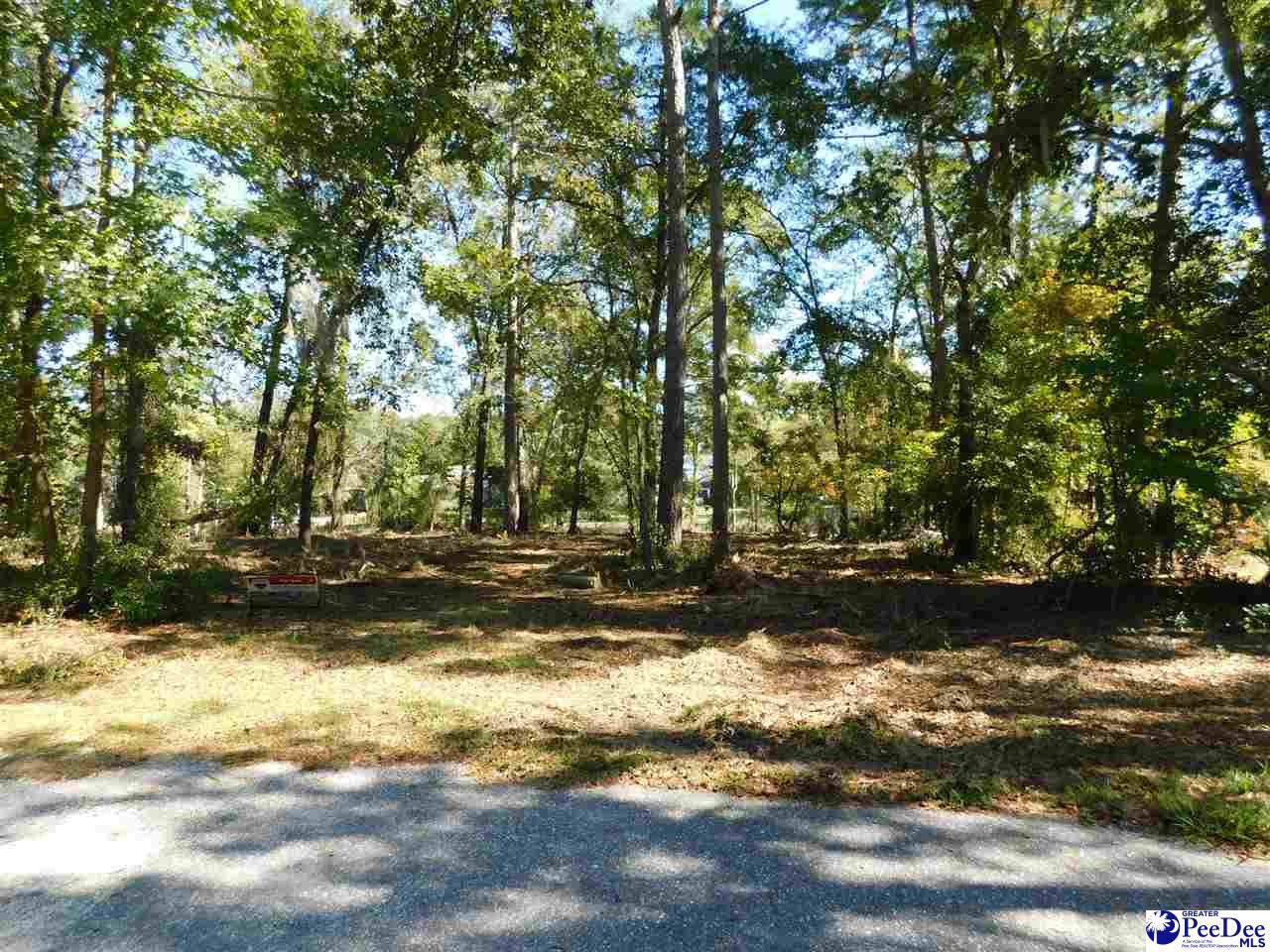 2112 Heyward Court - Photo 1