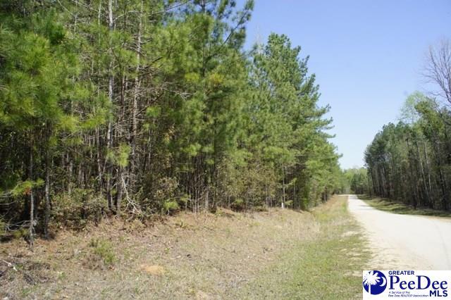 Lot 3 Rhyne Street - Photo 1