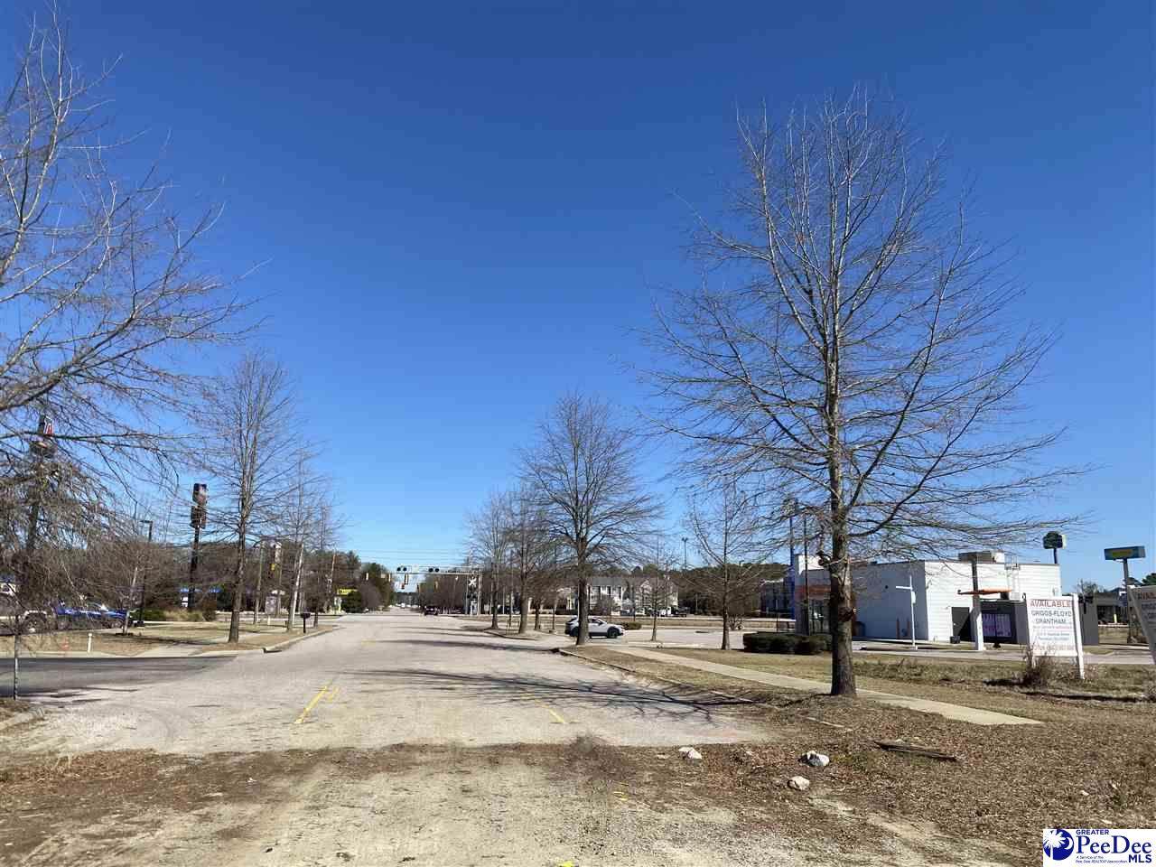  Presbyterian Road - Photo 1