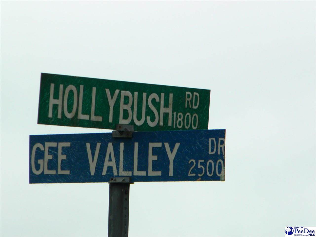 Lot #6 Gee Valley - Photo 1