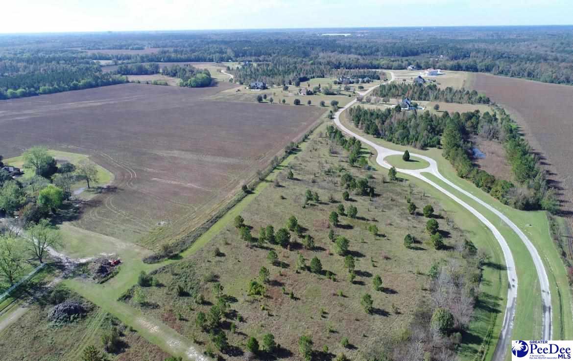 119 Acres Lazy Lane - Photo 1