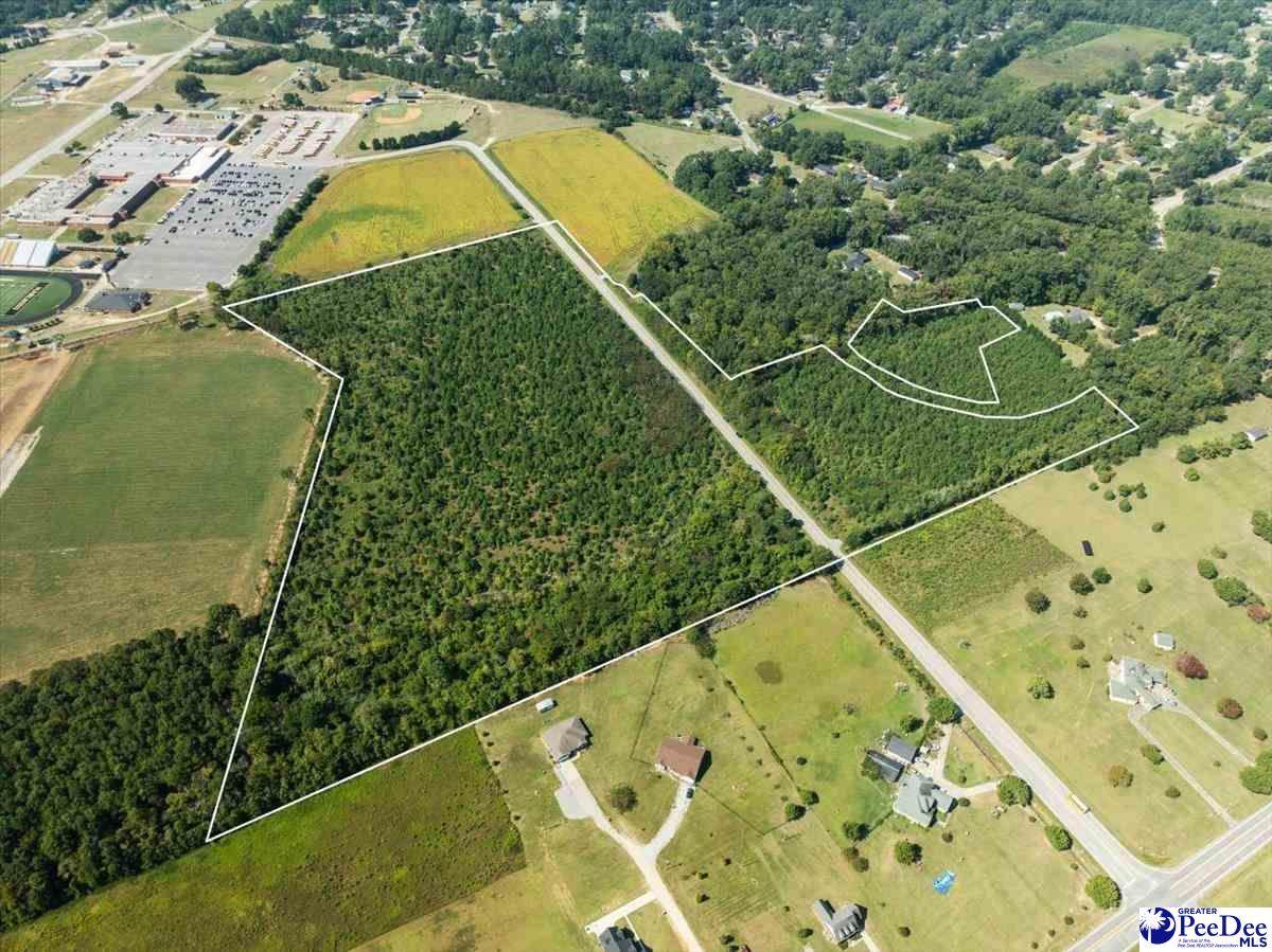 TBD Bull Dog Road - Photo 1