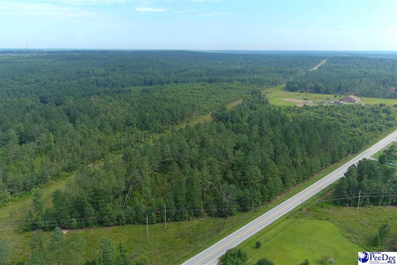 45 +/- Acre Tract Highway 177 - Photo 1