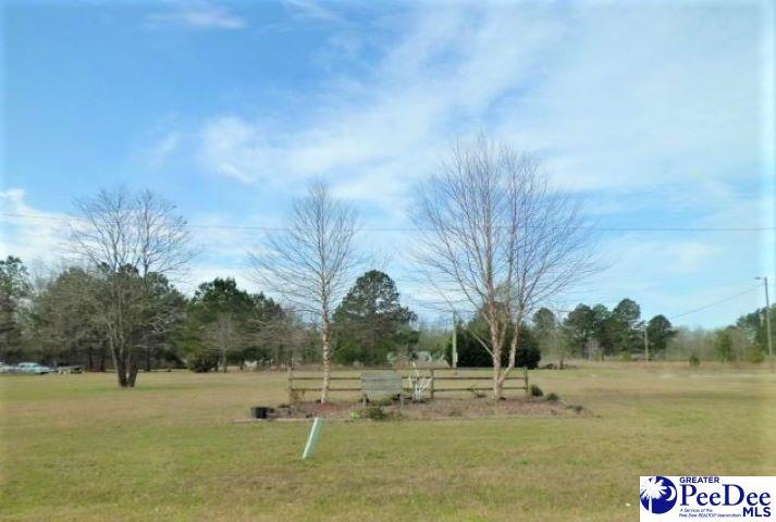 459 Annie Ln - Photo 1