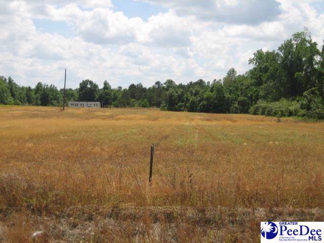 2909 Pamplico Hwy - Photo 1