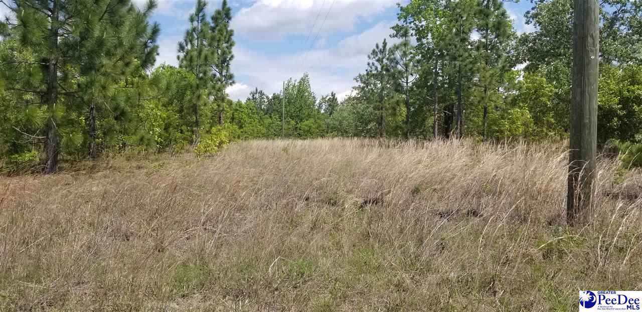 Riley Rd - Photo 1