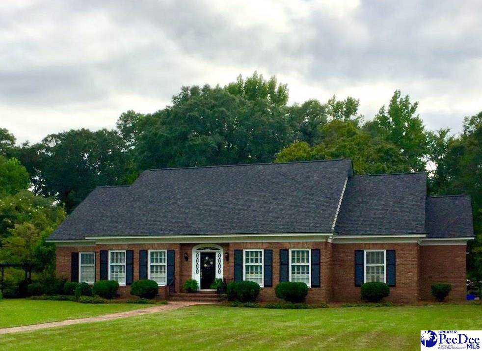 119 Brittain Road - Photo 1