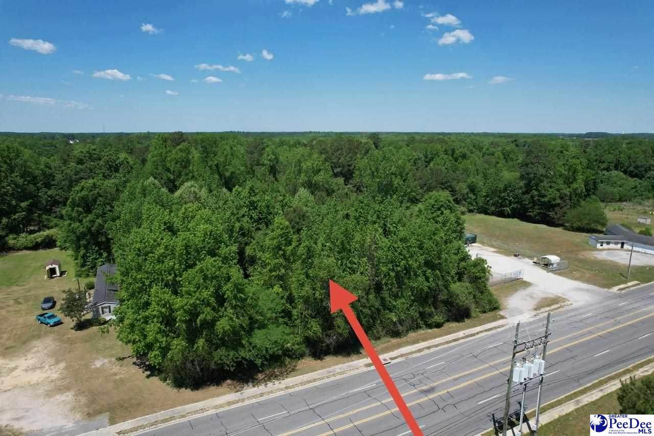 TBD Highway 301 - Photo 1