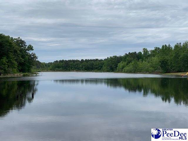 7.10+/- Ac Tract Sycamore Rd - Photo 1