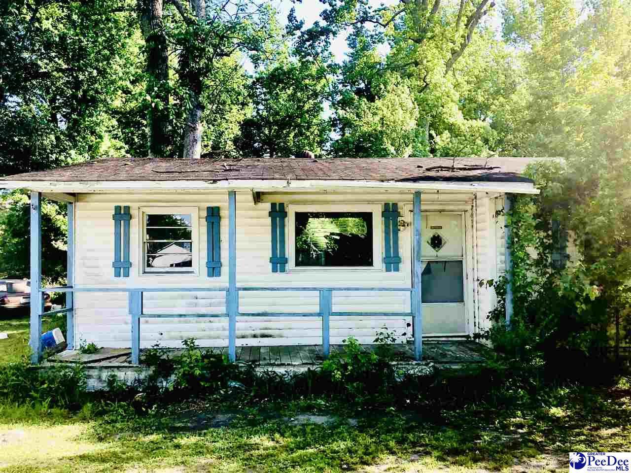 3322 Effingham Hwy - Photo 1