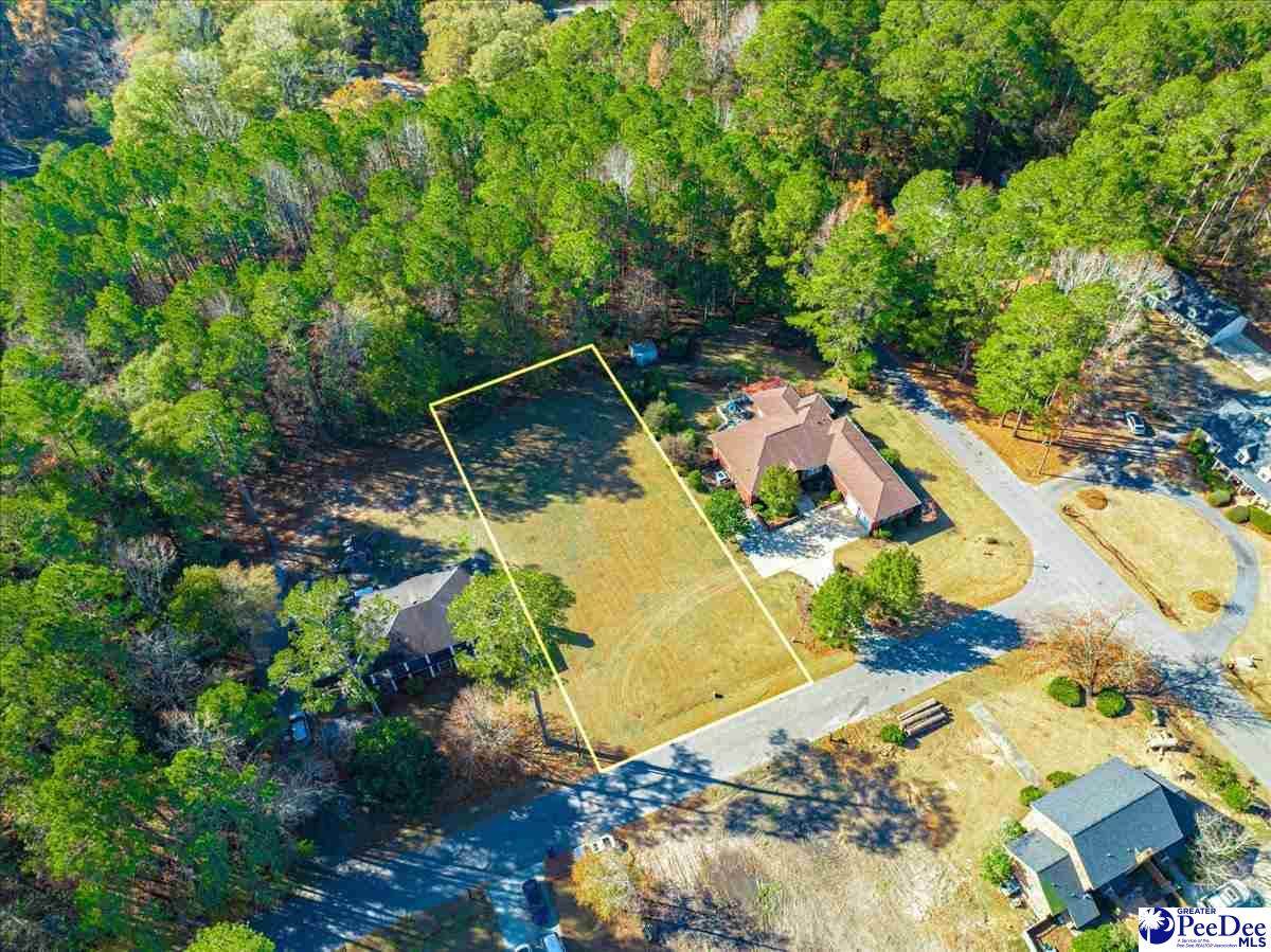 Lot 52 Green Drive - Photo 1