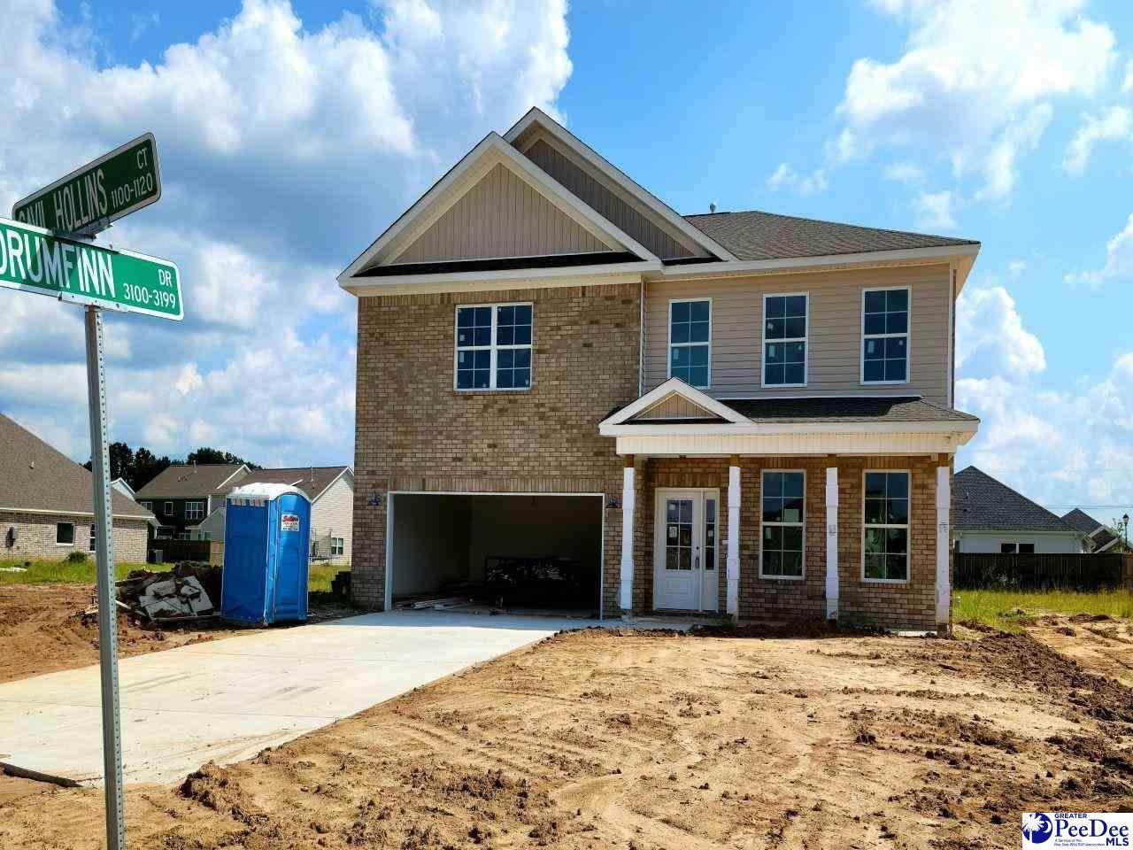 3116 Drumfinn Dr - Photo 1