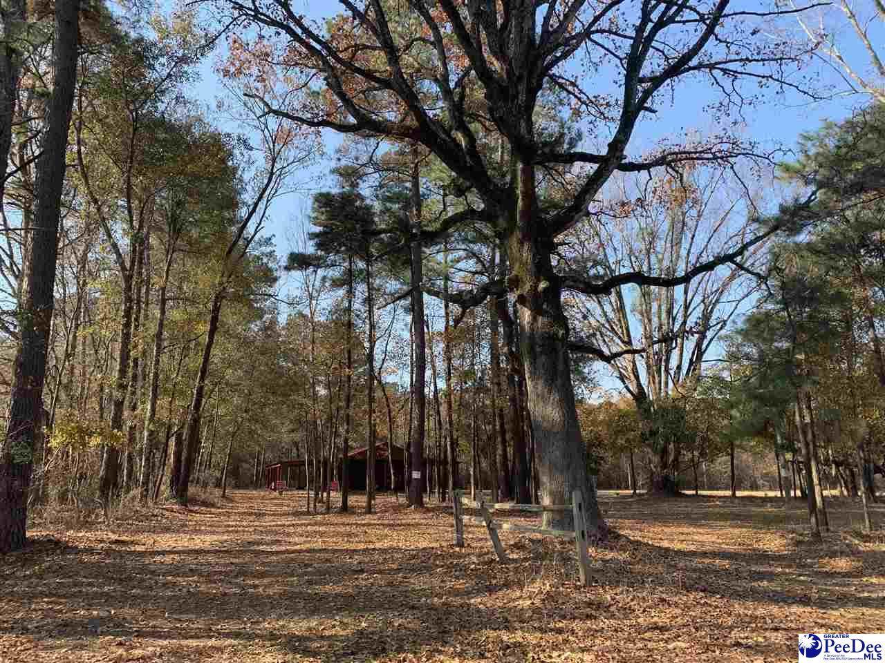 1511 Cart Road - Photo 1