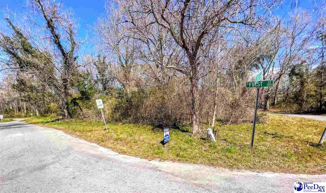206 1st St - Photo 1