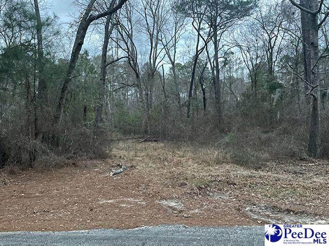 Point View Drive - Photo 1