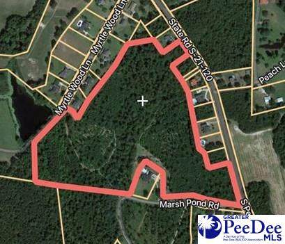 TBD Marsh Pond Rd. - Photo 1