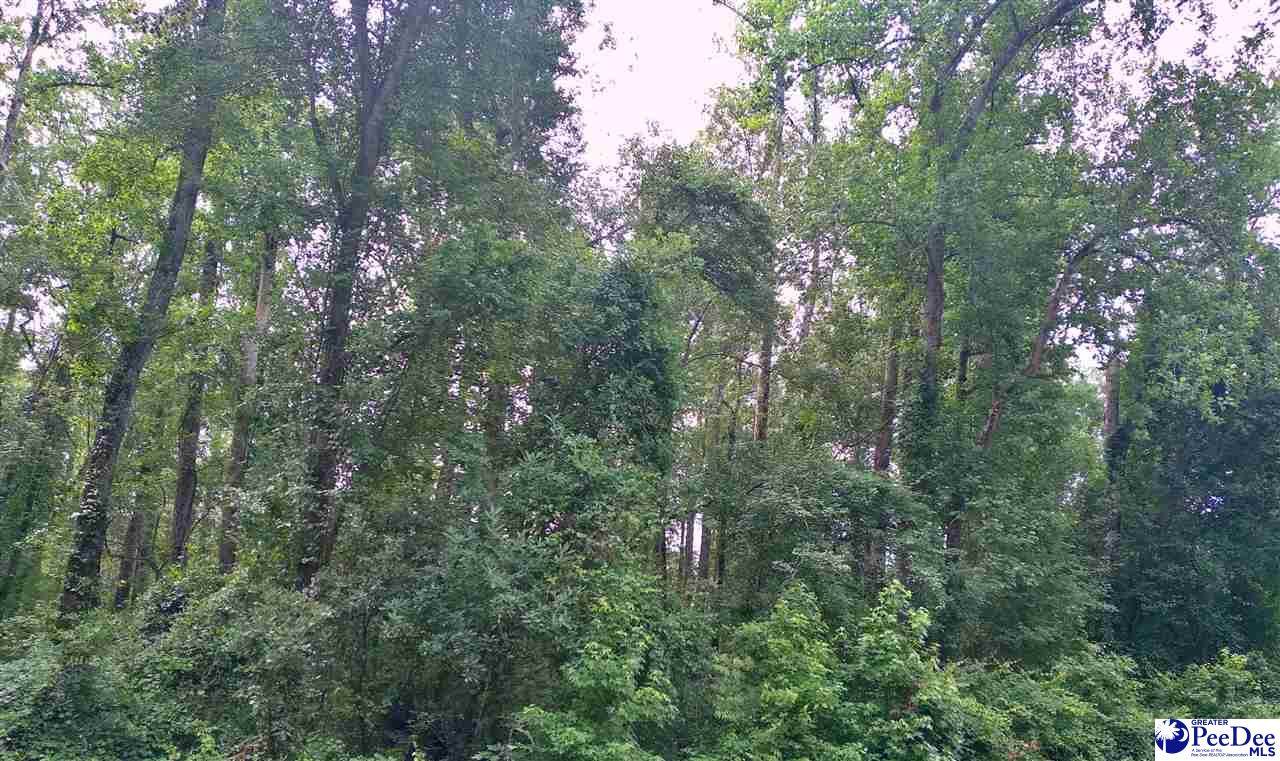 Highway 52 South - Photo 1