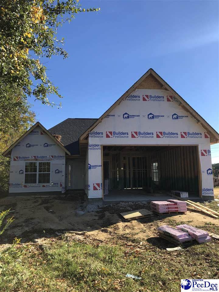2236 New Forrest Drive - Photo 1