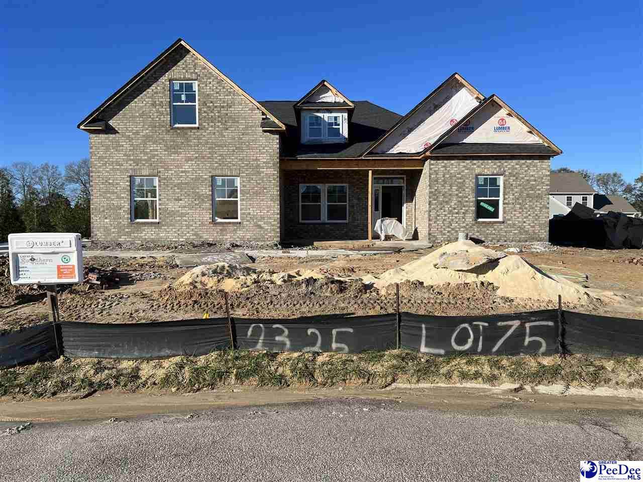 2325 Gadwall Point (Lot 75) - Photo 1