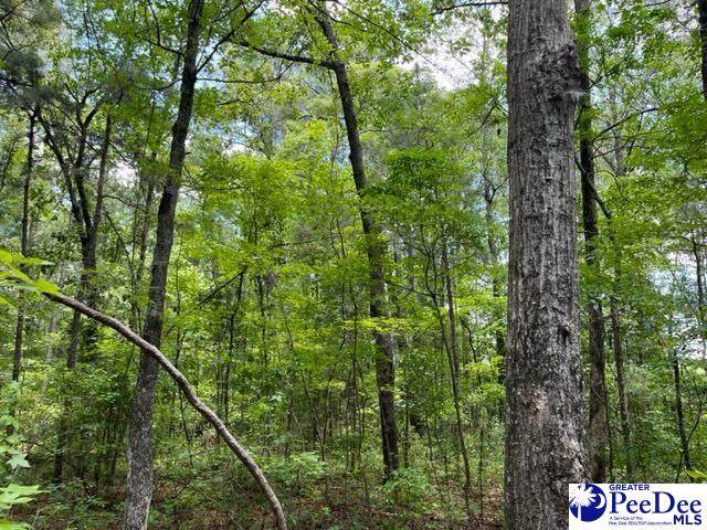808 Floyds Rd. Lot 3 - Photo 1