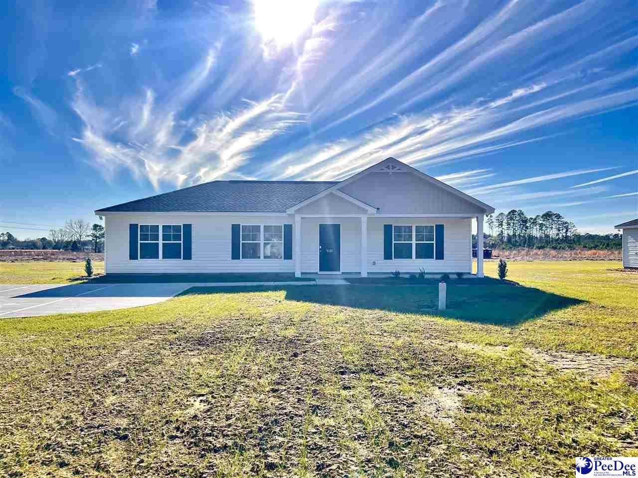 5172 Old Marion Hwy - Photo 1