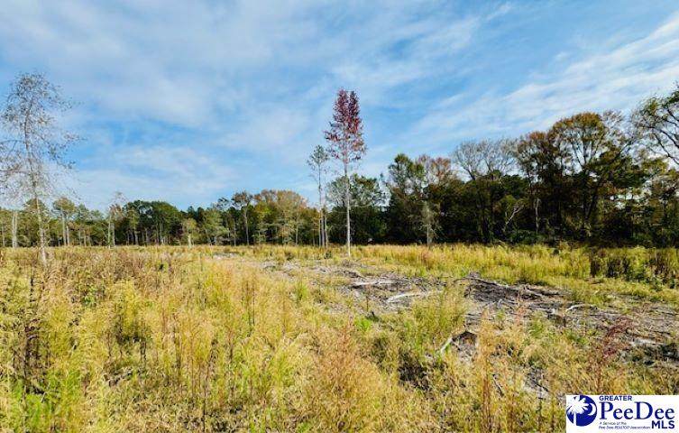 0000 Woodbine Ln (Lot 2) - Photo 1