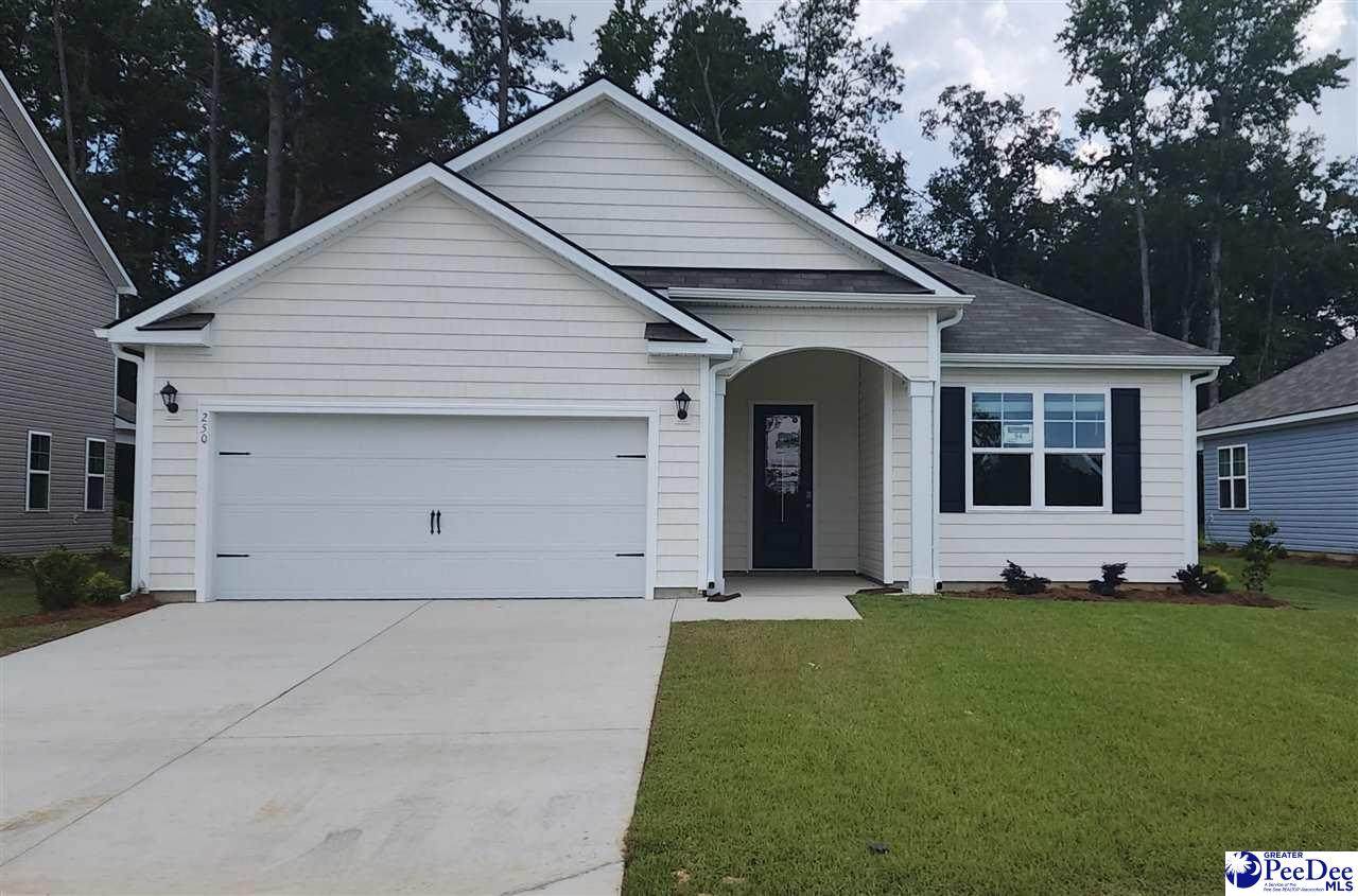 250 Bluff View Ln - Photo 1