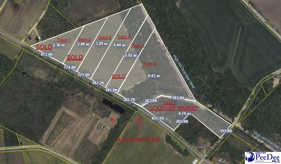 Tract 6 Borkowitz Road - Photo 1