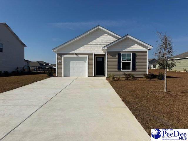 1009 Garden Sprout Drive - Photo 1