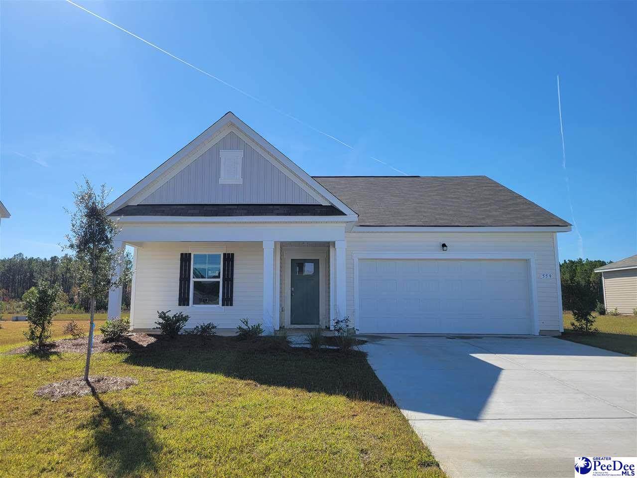 559 Strawberry Field Way - Photo 1