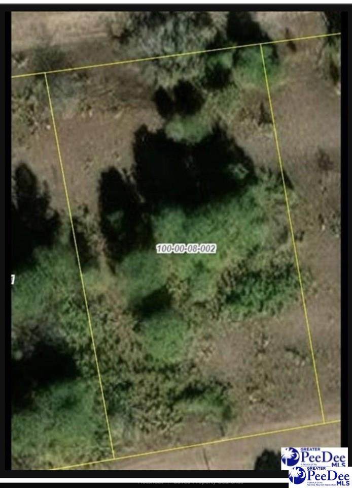 Lot 2 Thousand Oaks Drive - Photo 1