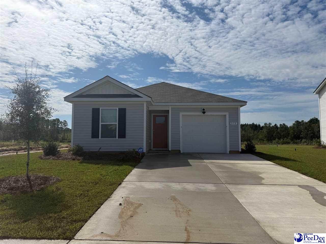 575 Strawberry Field Way - Photo 1