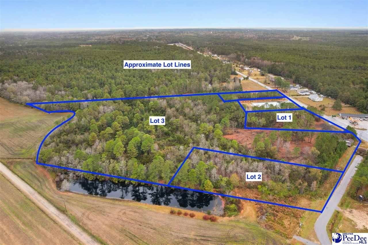 TBD Lot 1 Red Bluff Rd - Photo 1