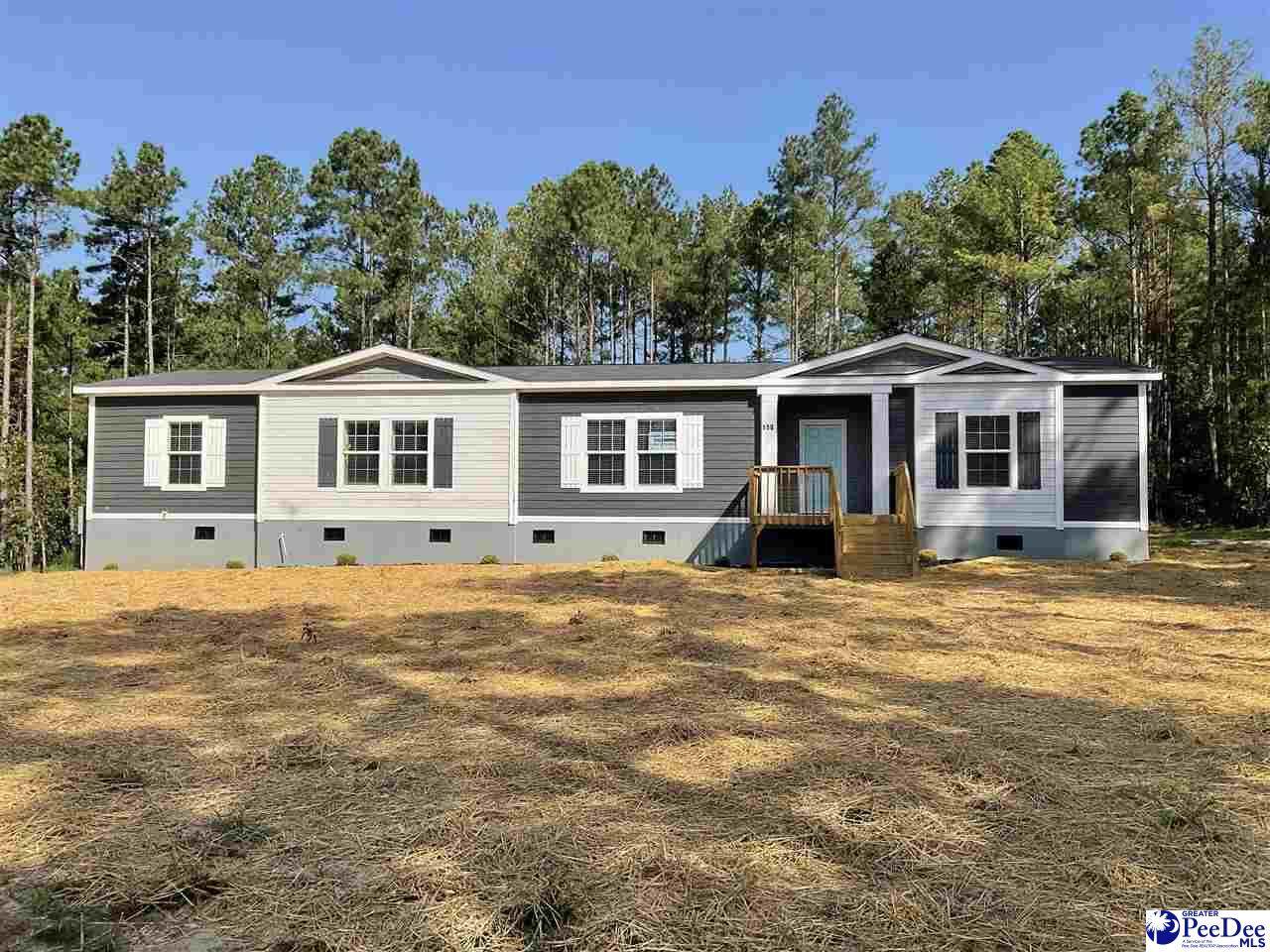 150 Branchview Rd - Photo 1