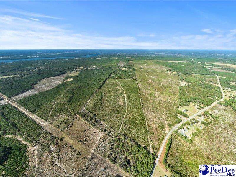  Ruby Rd (87.15 Acres) - Photo 1