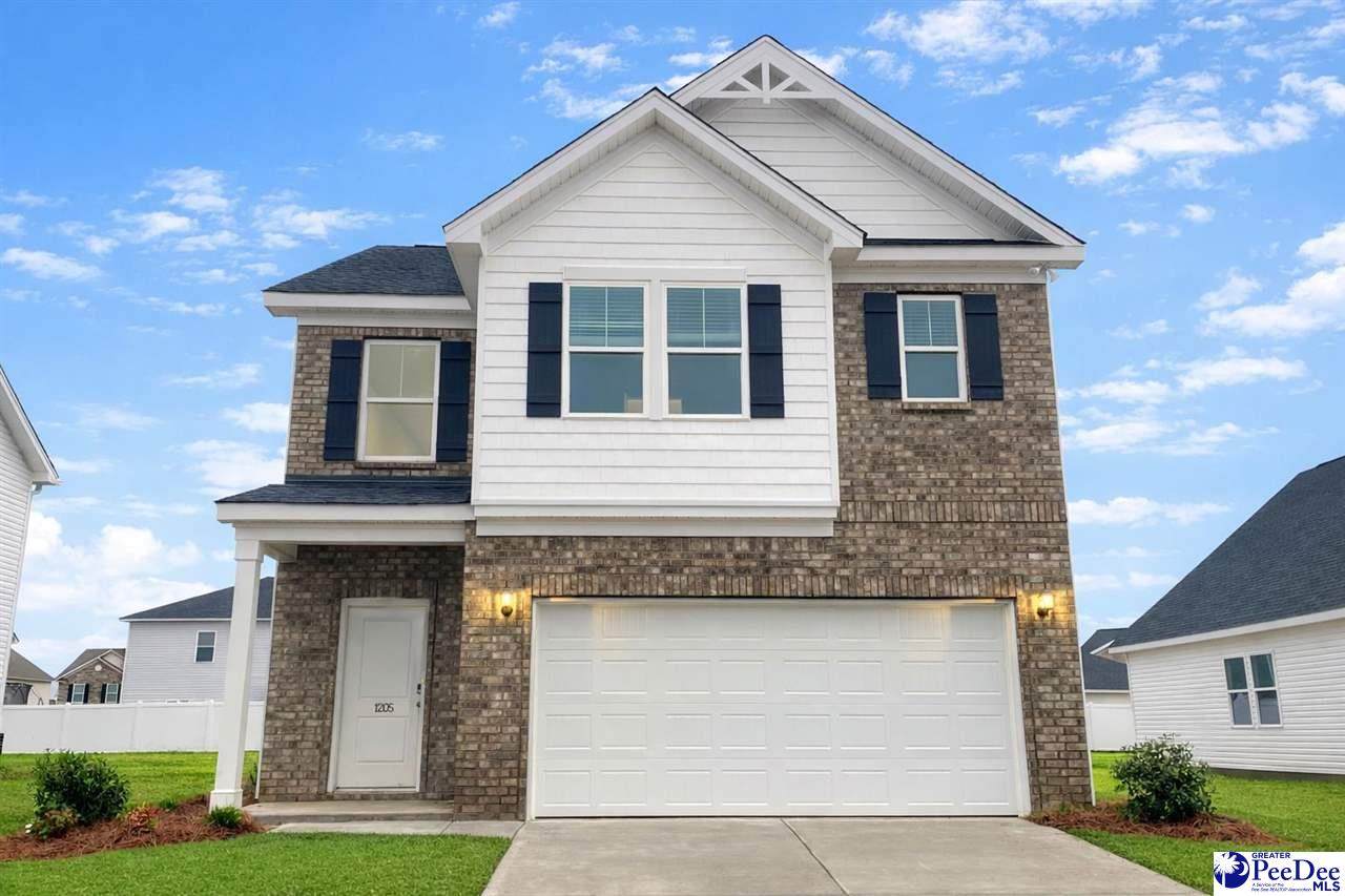 1236 Summer Duck Loop - Photo 1