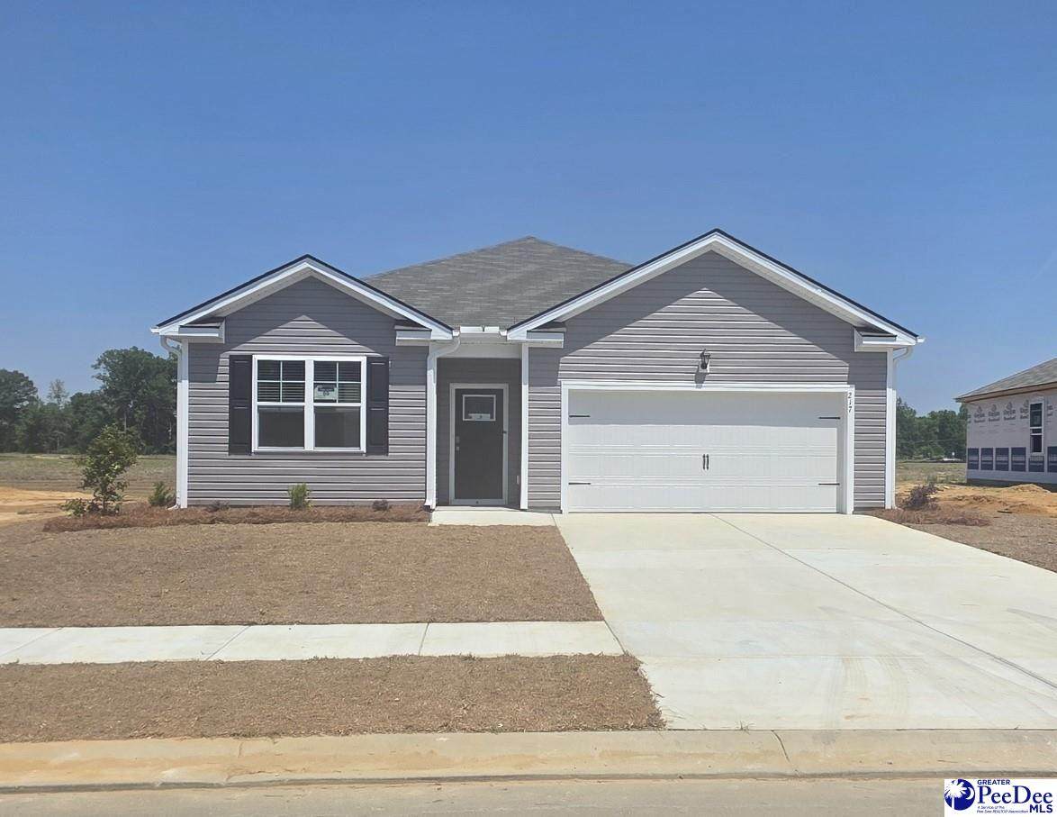 217 Bluff View Lane - Photo 1