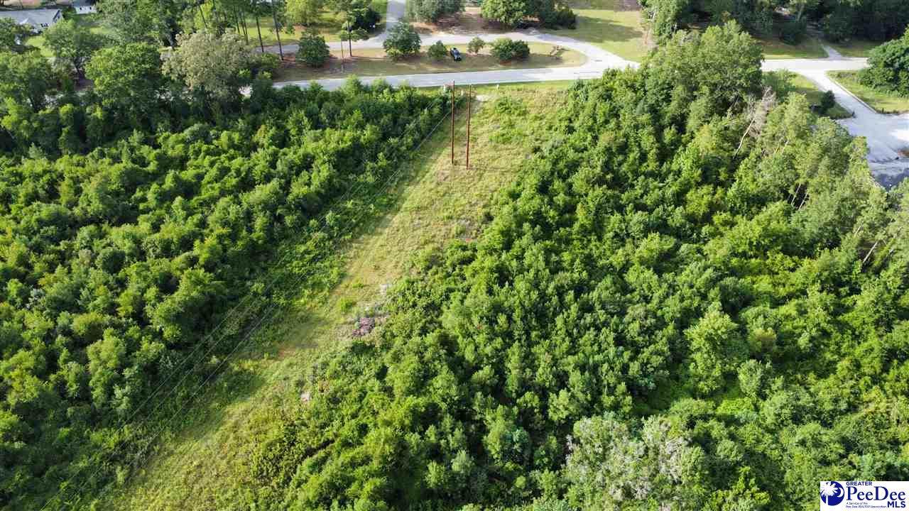  East Home Ave/ East Carolina Avenue - Photo 1