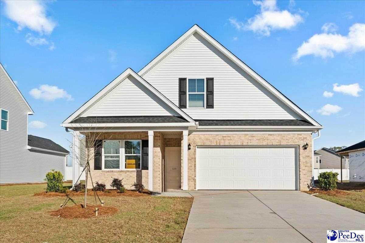 1181 Summer Duck Loop - Photo 1