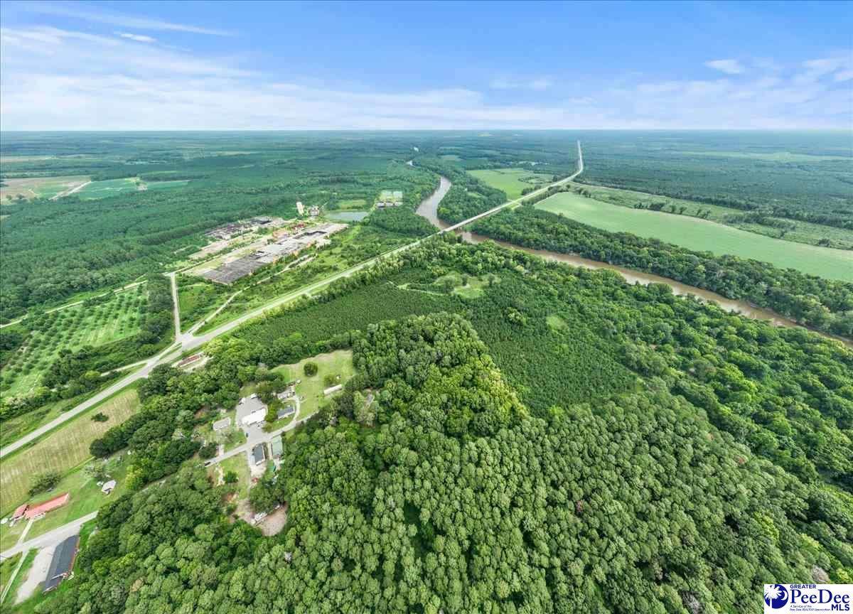  Williamson Drive - Photo 1
