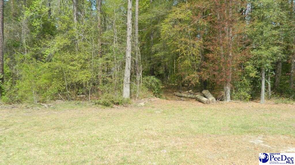 545 Cowpath Road - Photo 1