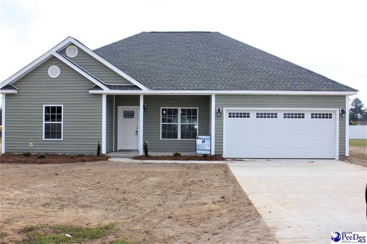 4869 Lullwater Drive - Photo 1